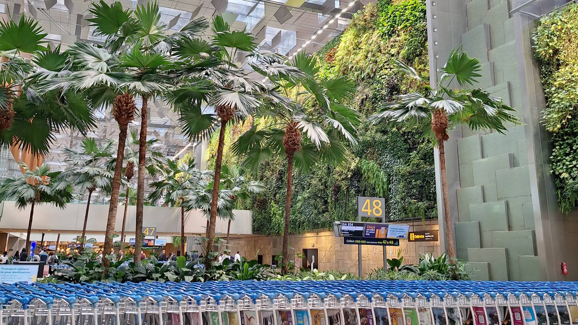 El Aeropuerto Internacional Changi y su vegetación.