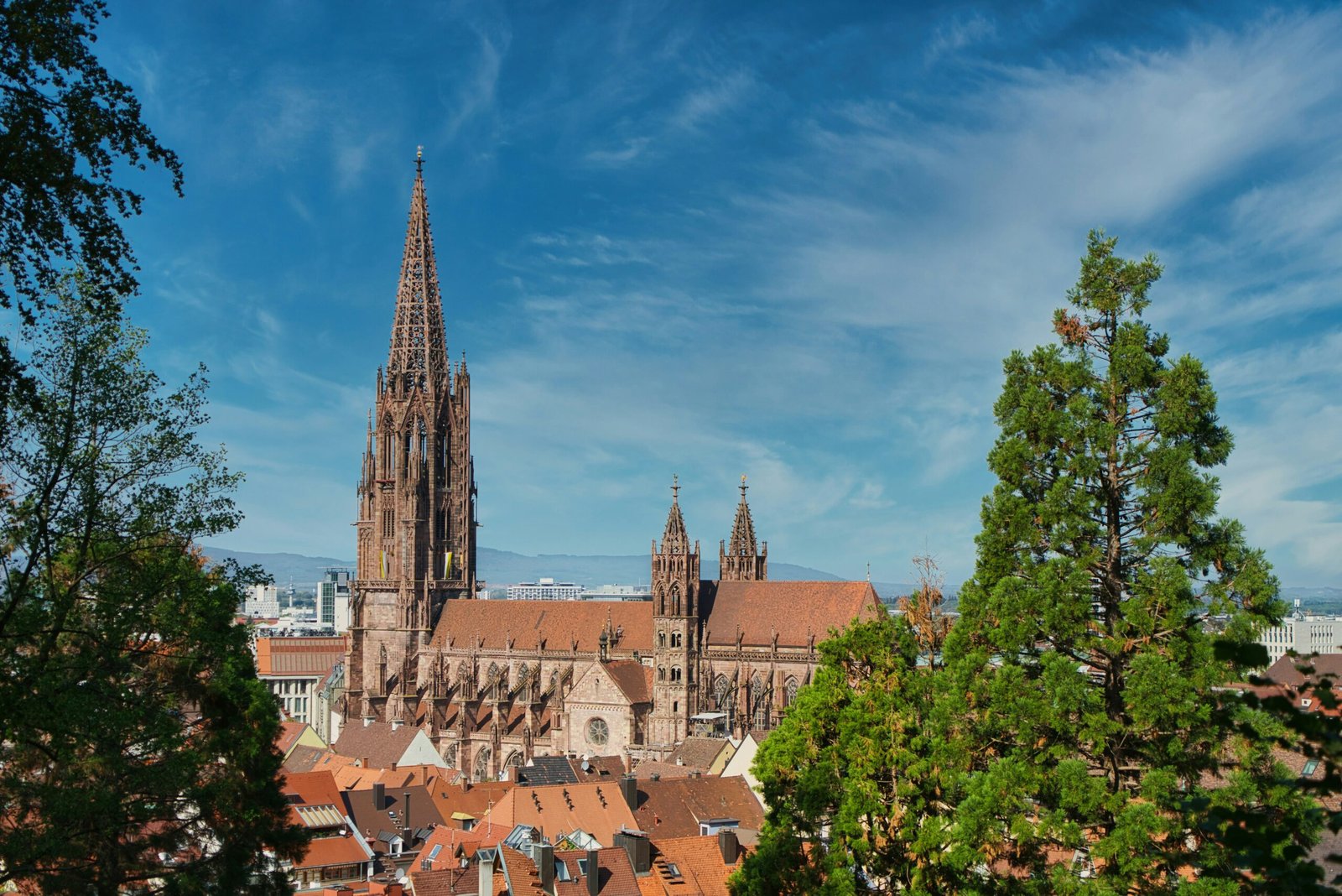 Friburgo y su histórica catedral.