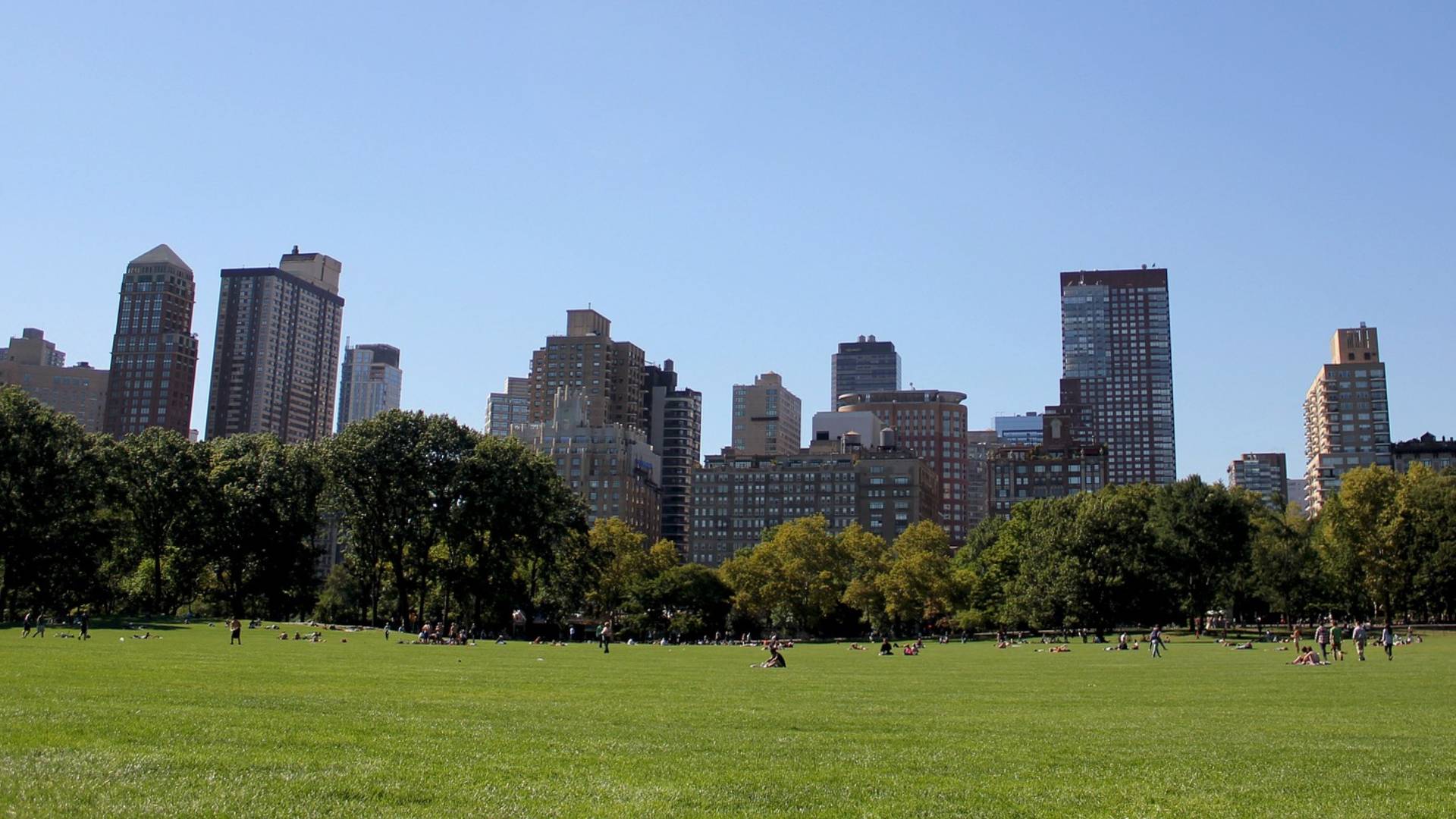 Pasear por Central Park es un imprescindible de Nueva York.