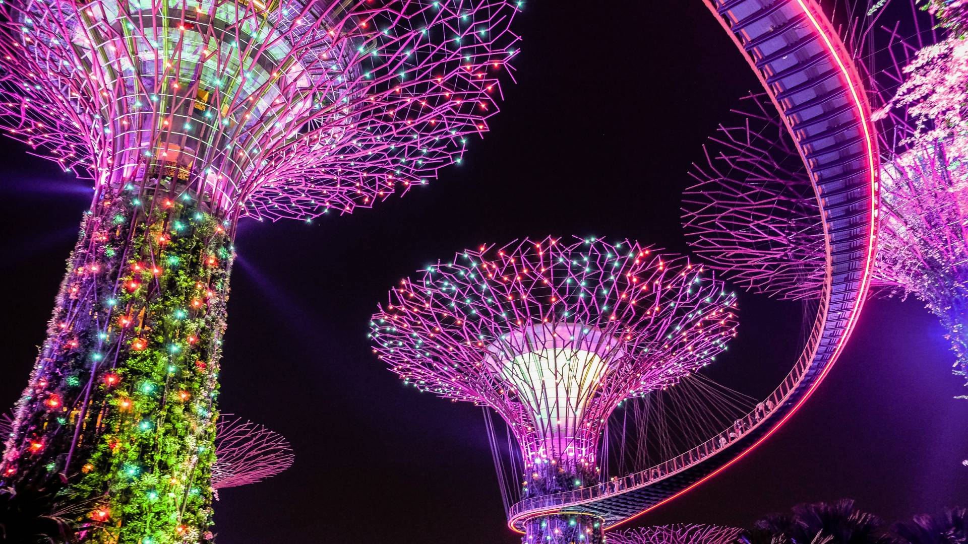 Espectáculo de luz y sonido en el Gardens by the Bay.