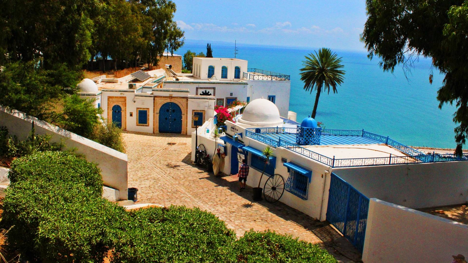 Las emblemáticas casas blancas y azules de Sidi Bou Saïd.