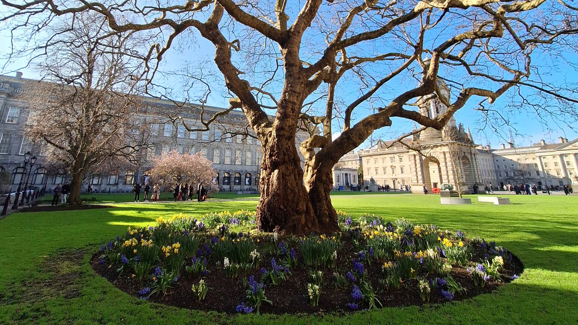 Patio interior del Trinity College.