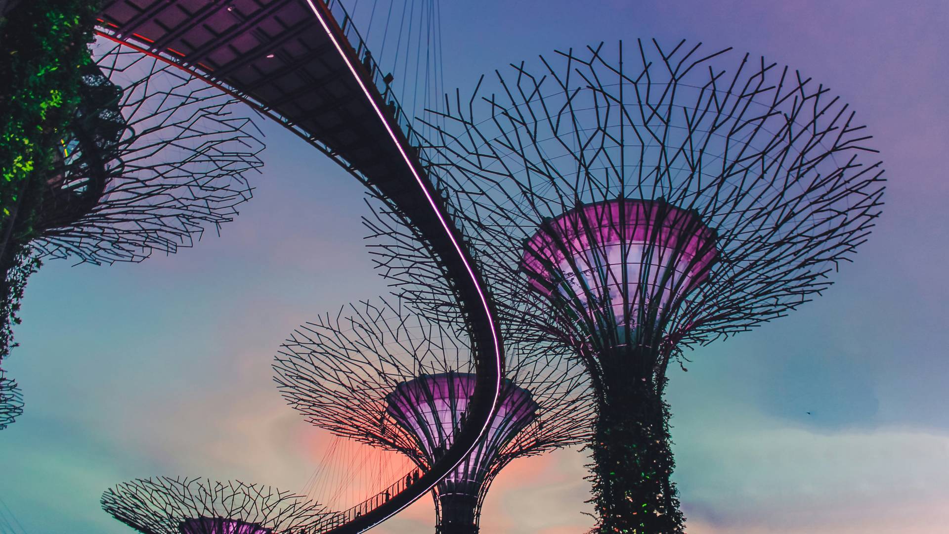 Gardens by the Bay al anochecer.