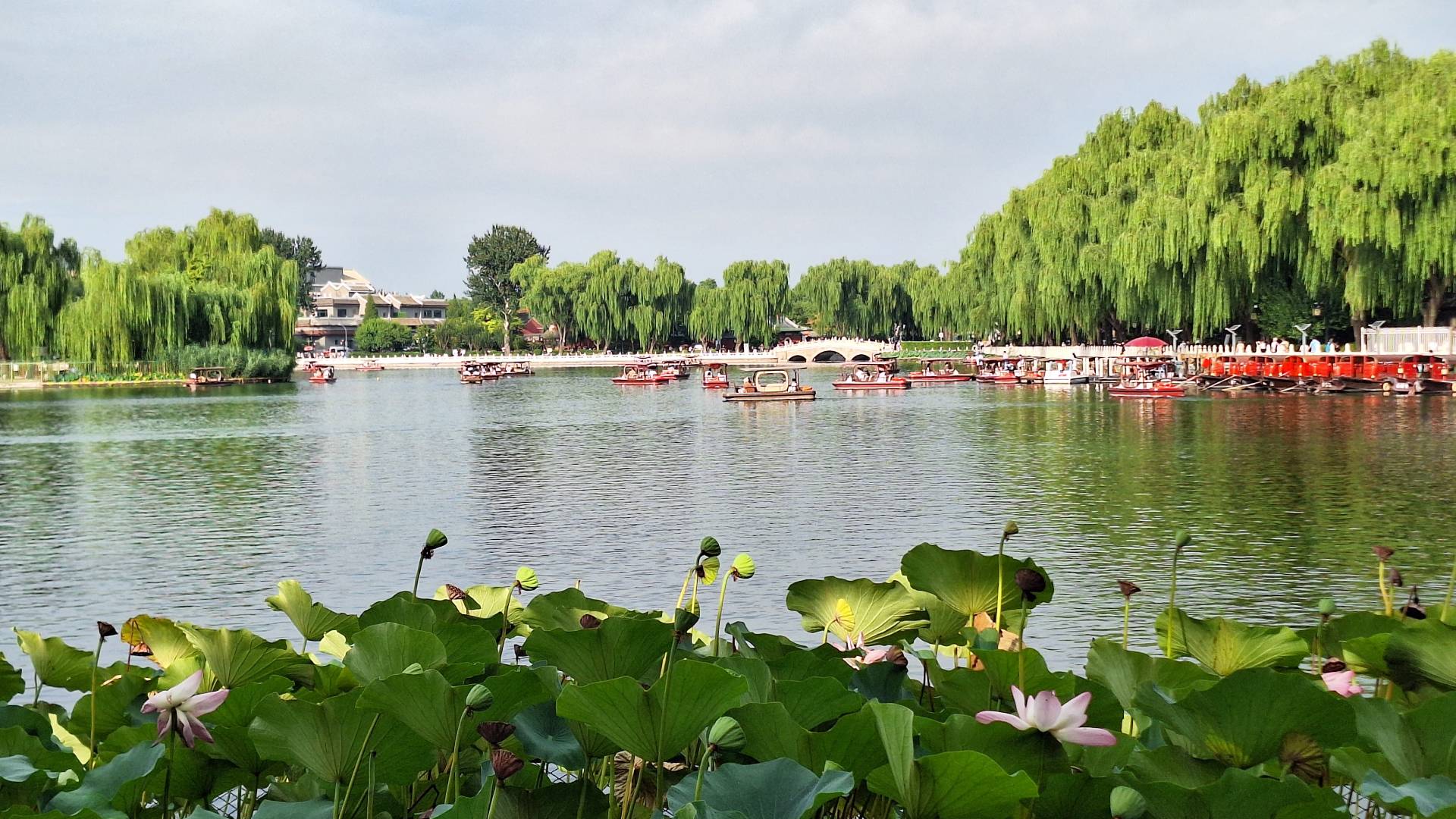 Disfruta de un paseo por el Lago Houhai.