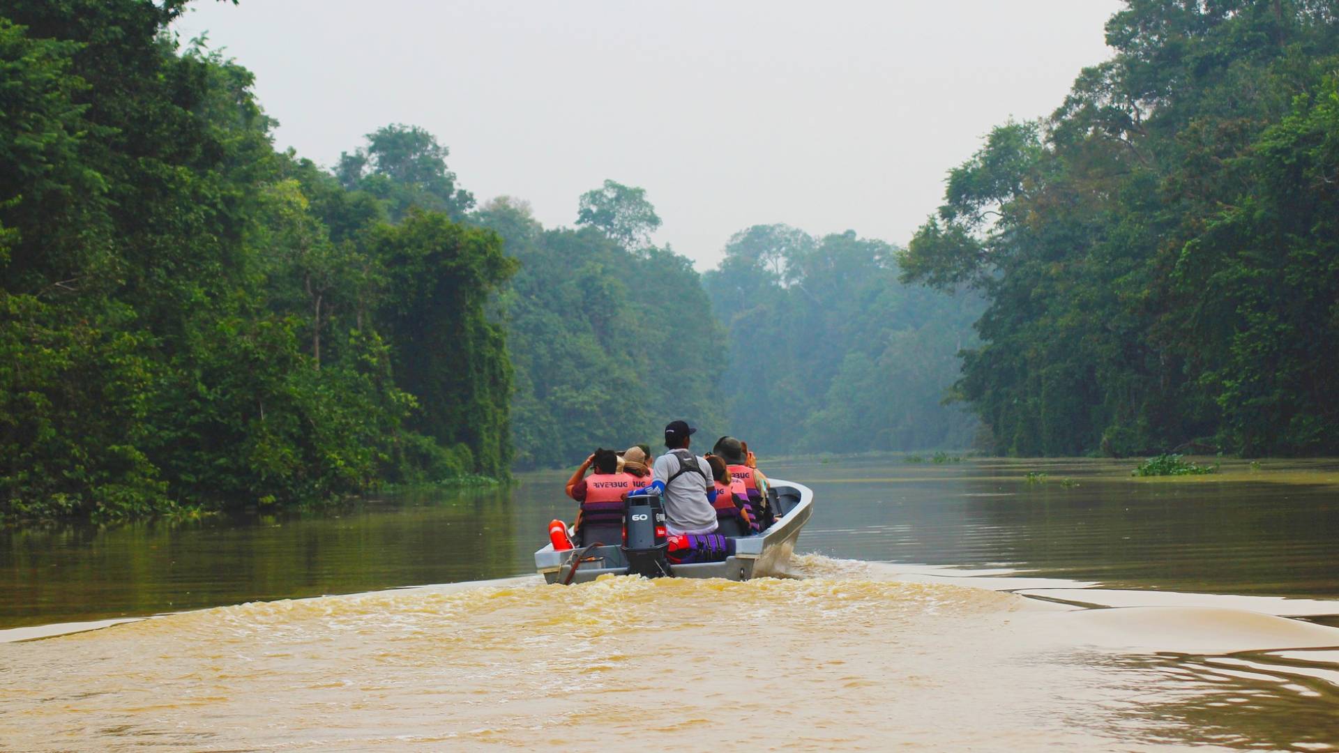 El maravilloso entorno del río Kinabatangan.