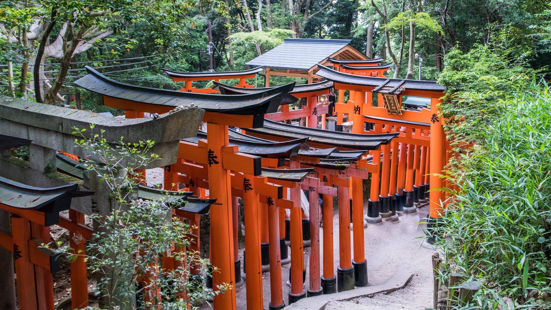 Parte del Fushimi Inari-Taisha.