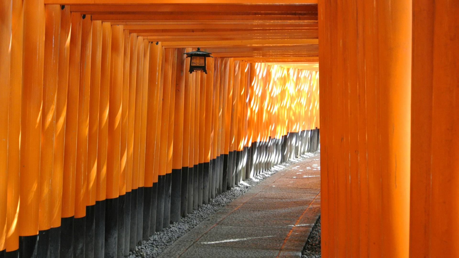 Los toriis rojos del Fushimi Inari-Taisha.