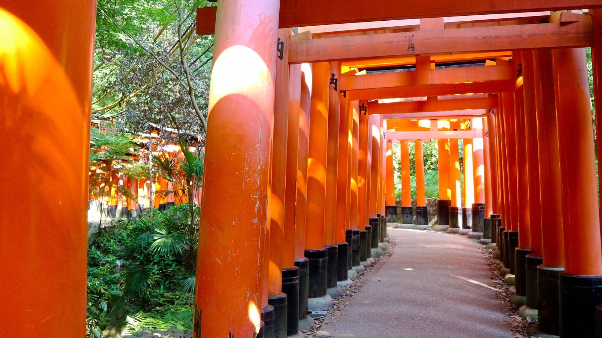 Toriis del Fushimi Inari-Taisha.