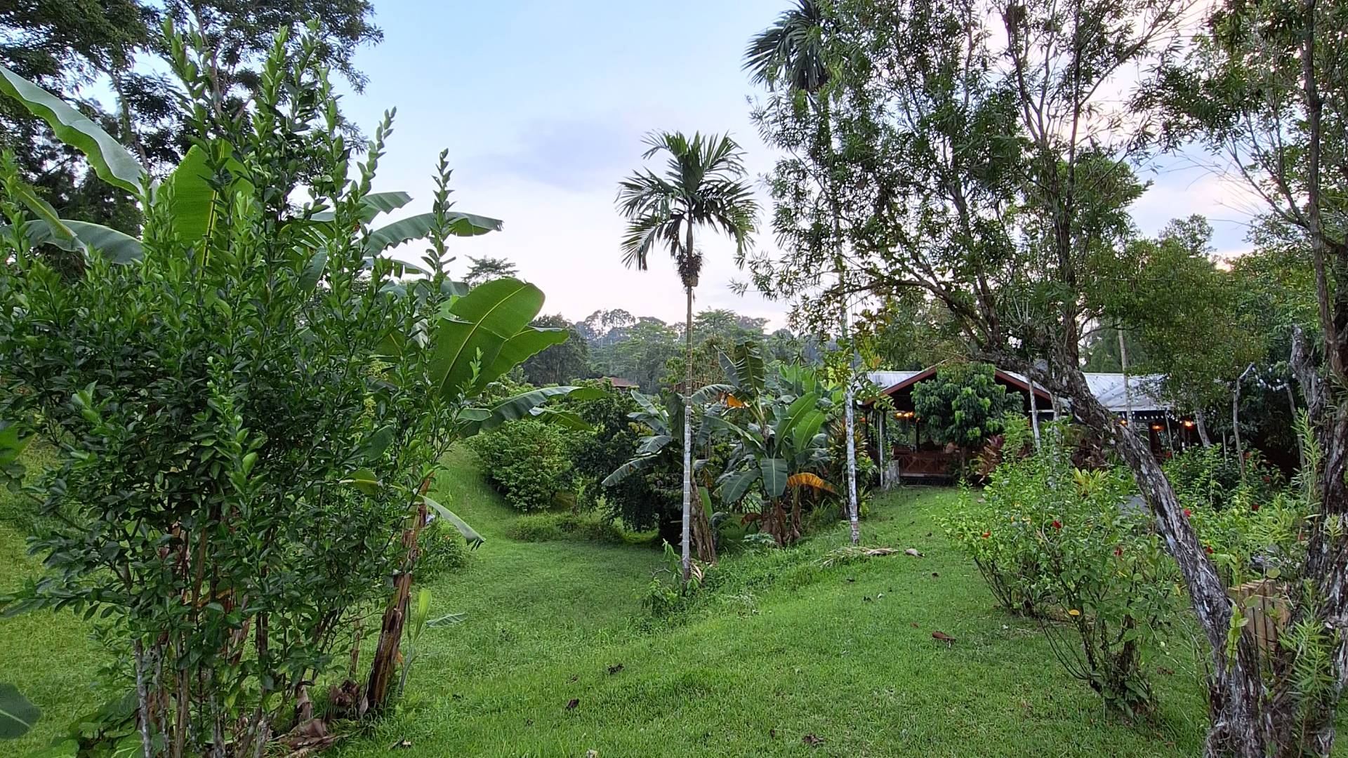 La naturaleza en Sandakan.