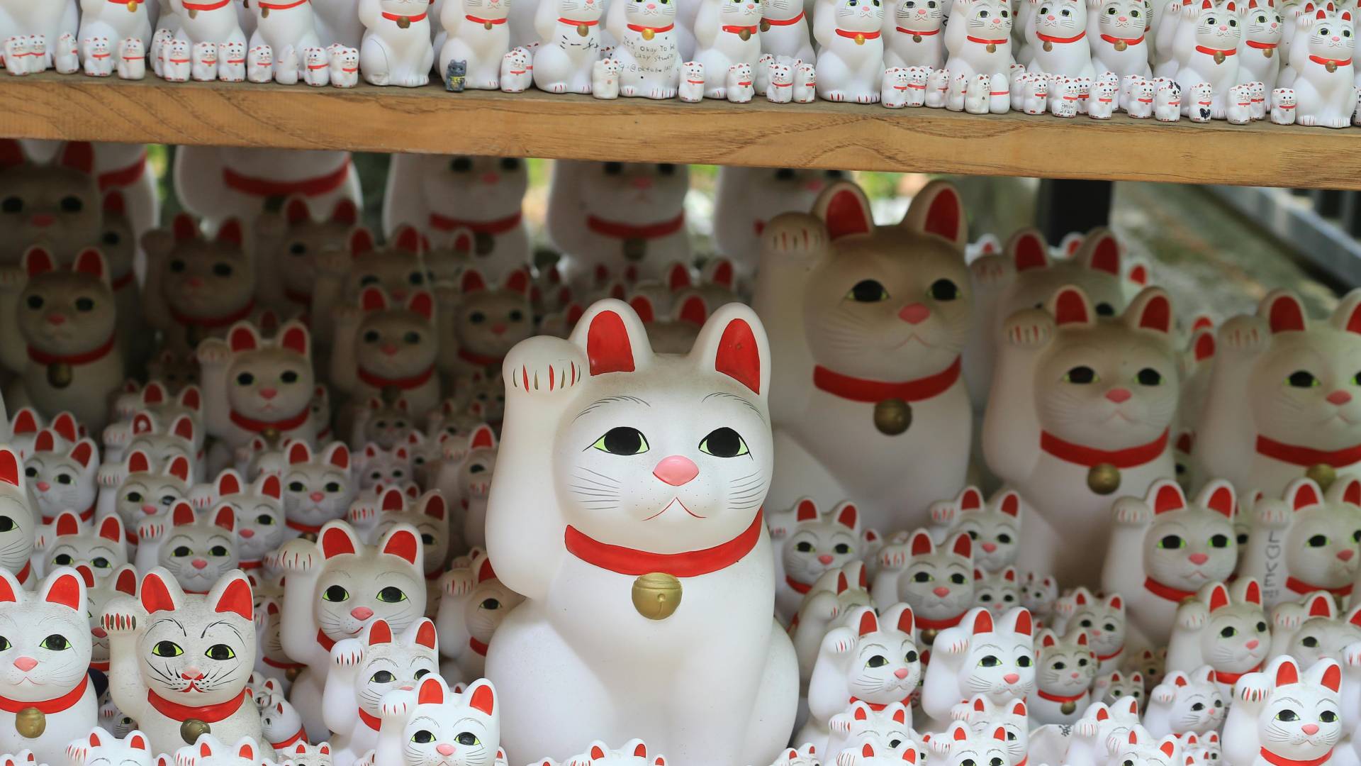 Maneki-neko o gatos de la suerte en el Templo Gōtokuji.