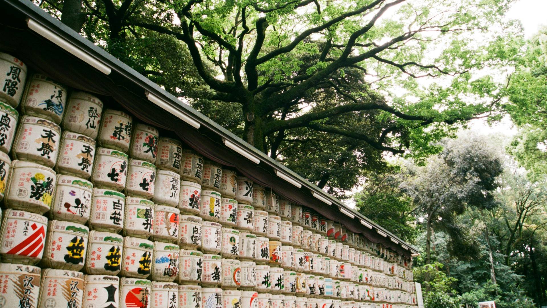 Parte del Santuario Meiji.