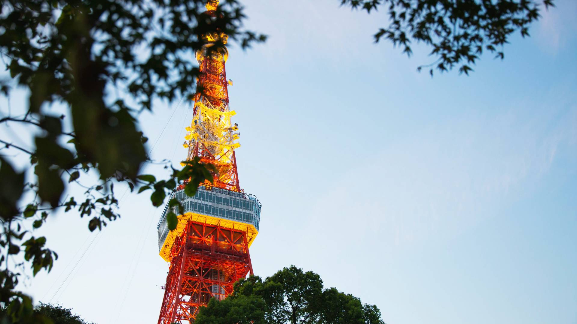 La Torre de Tokio y sus característicos colores.