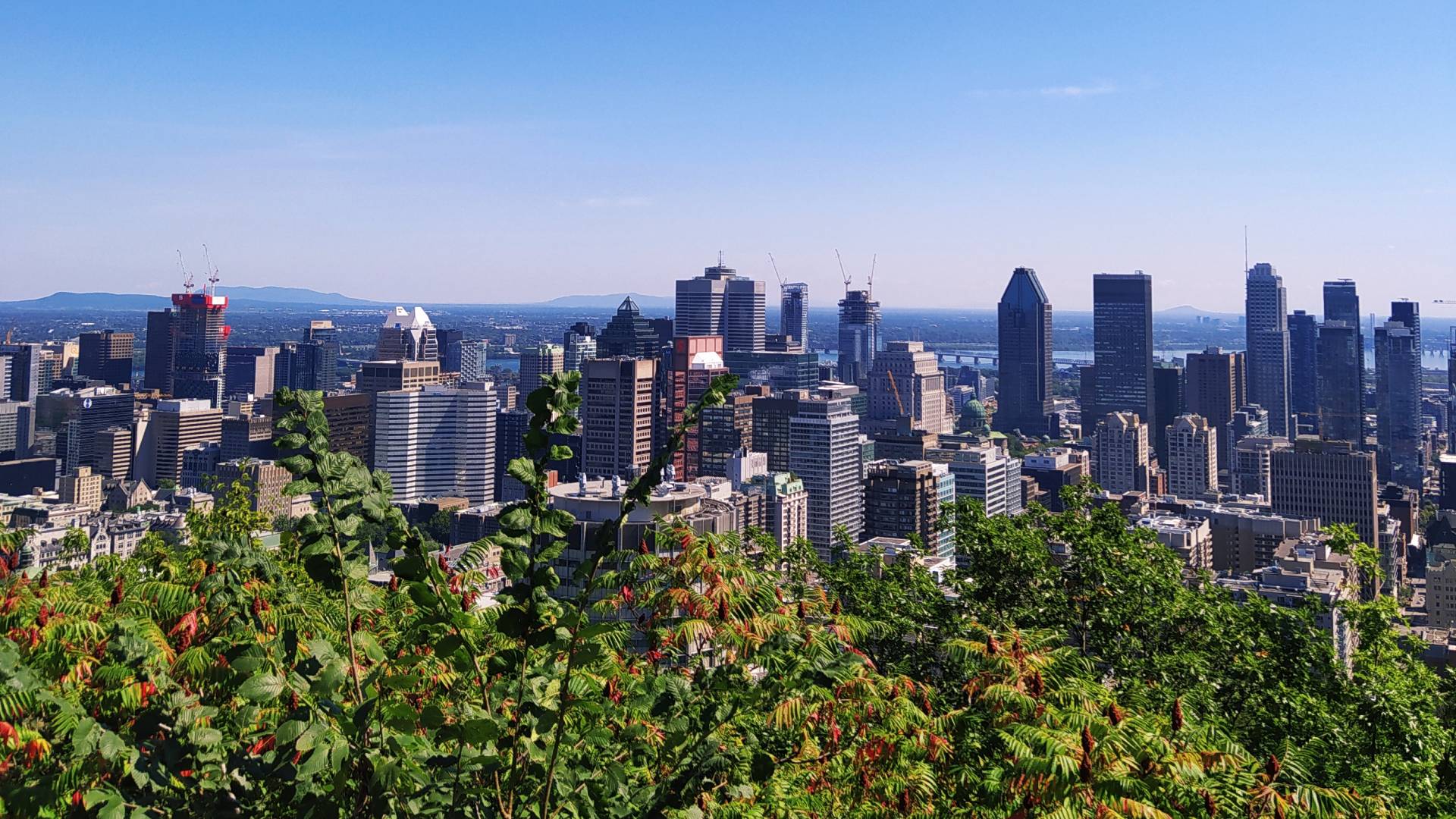 Vistas desde lo alto del Mount Royal.