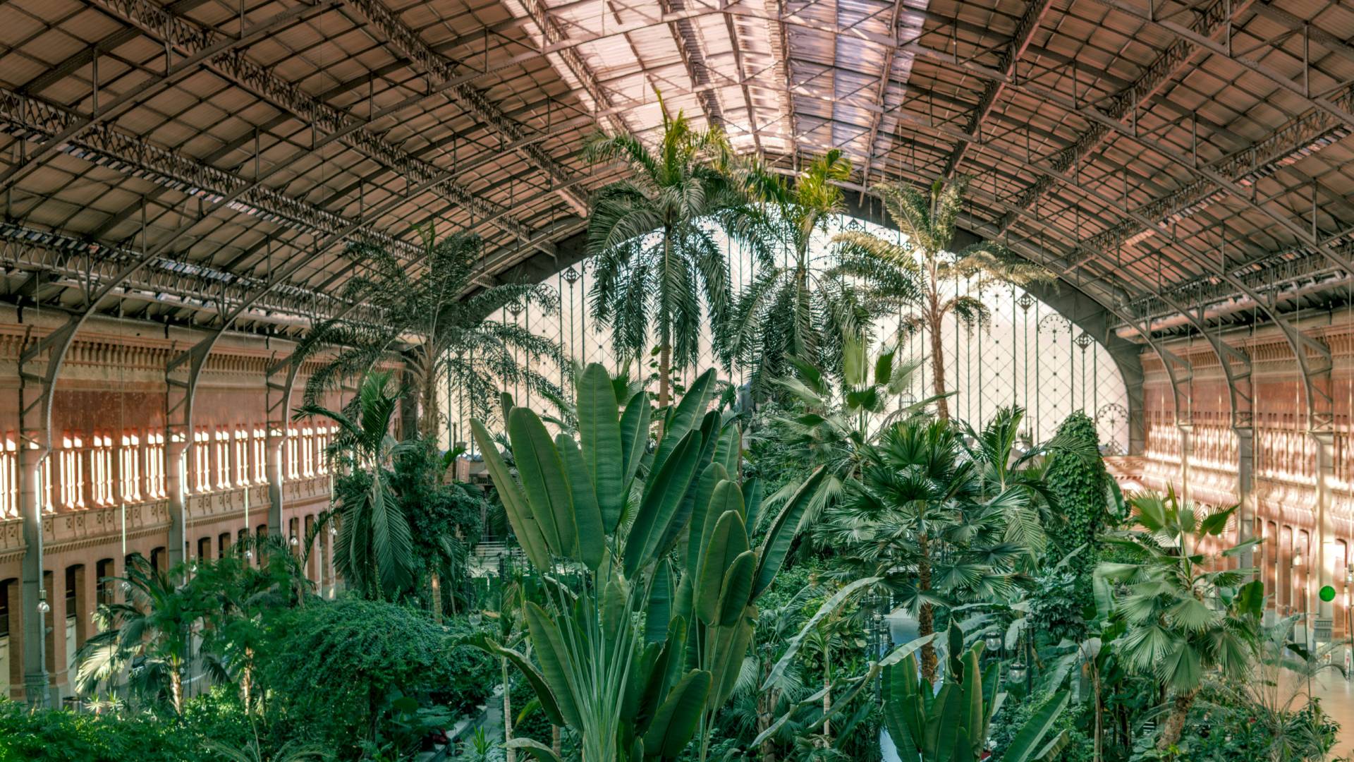 Jardín interior de la Estación de Atocha.