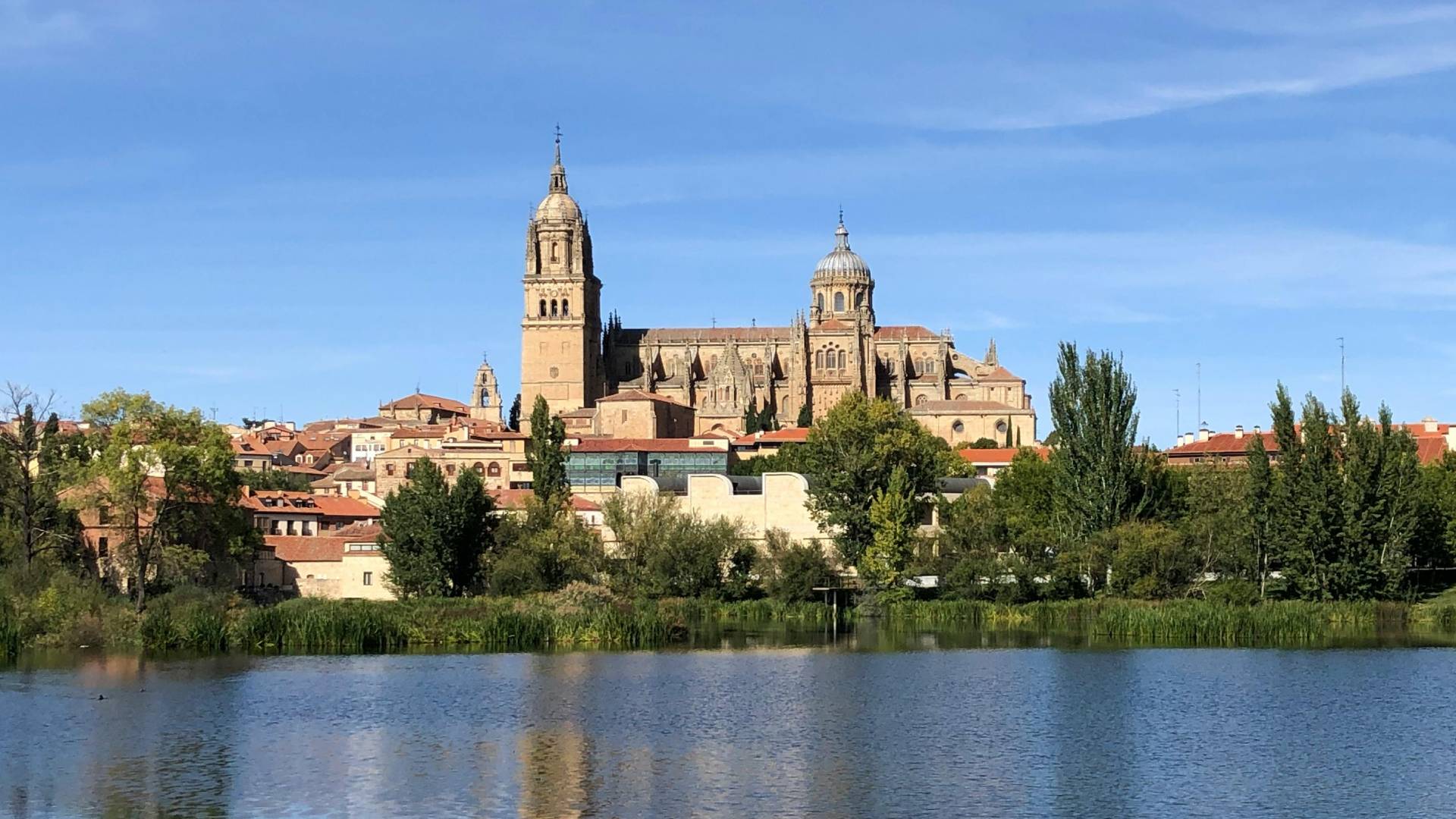 Salamanca desde la otra orilla del río Tormes.