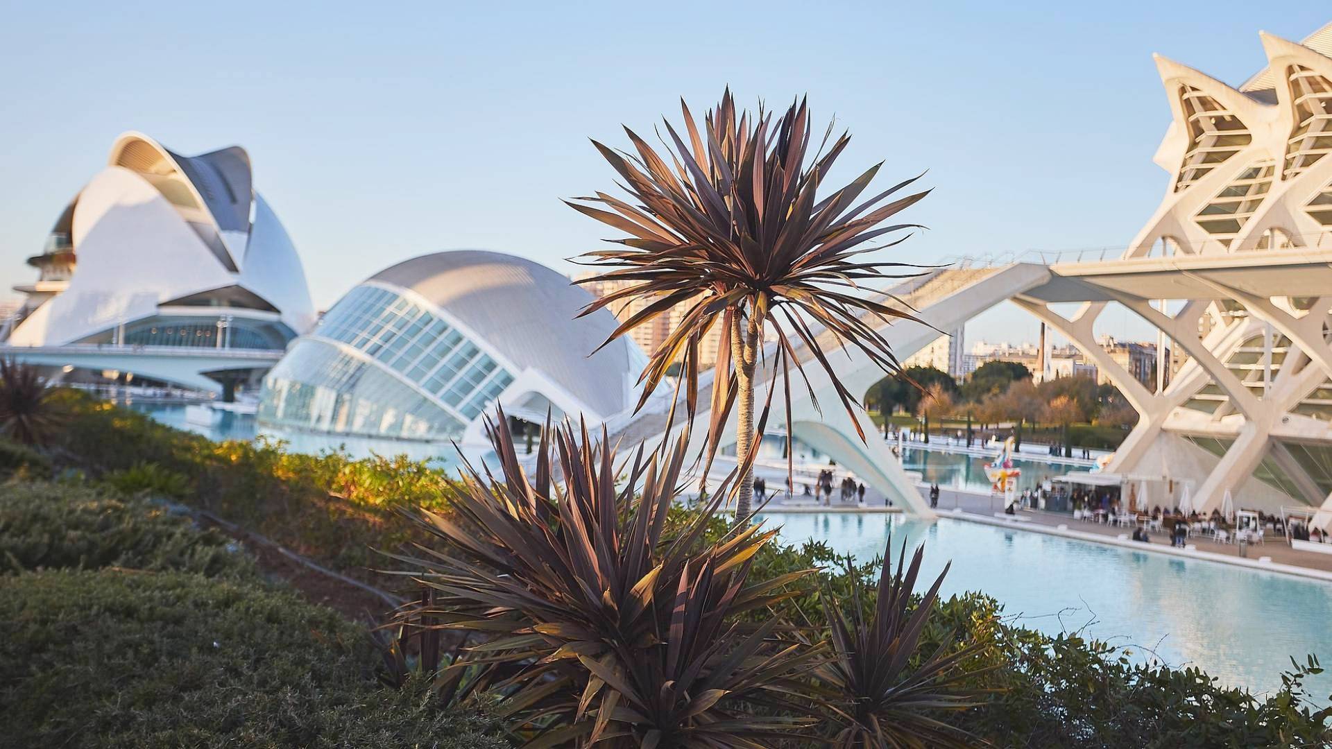 Panorámica de la Ciudad de las Artes y las Ciencias.