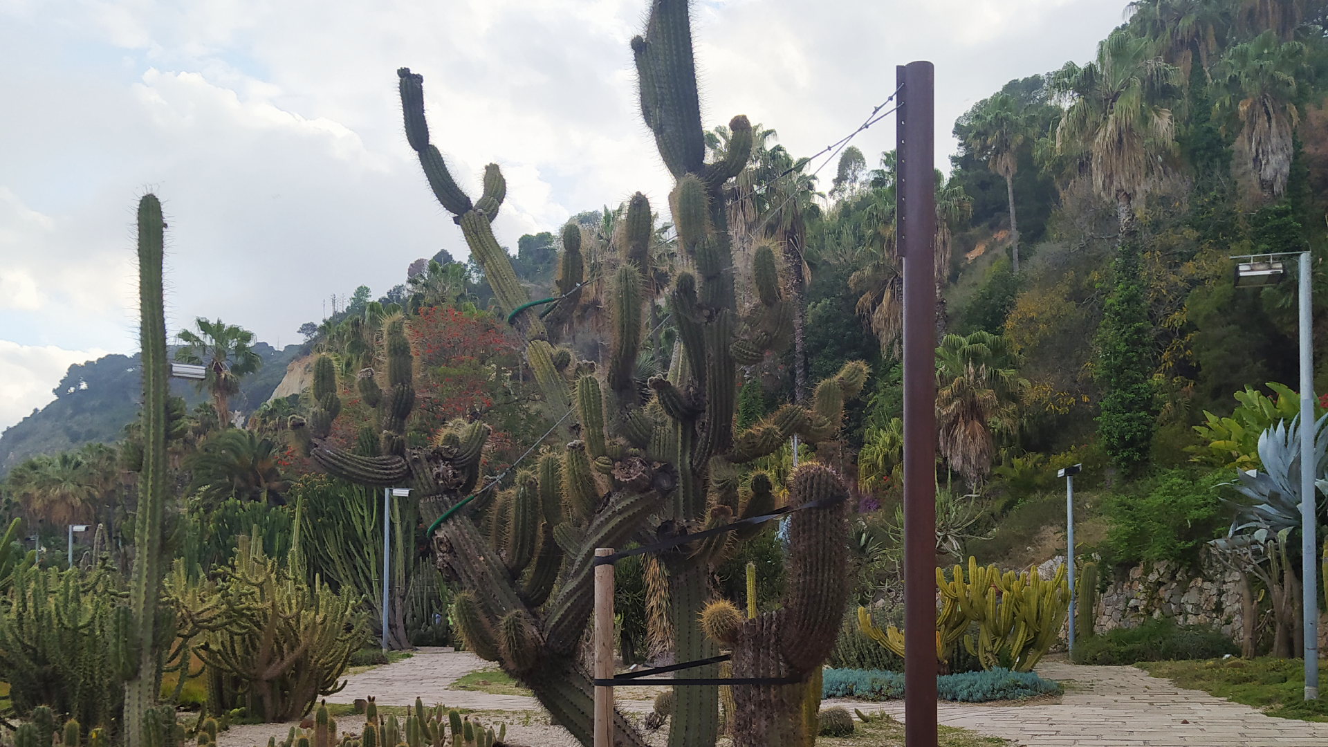 Jardines de Mossèn Costa Llobera.